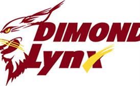  Dimond Lynx